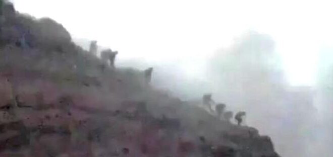 معارك ضارية في مكيراس..ولواء الأماجد يسيطر على عدد من مواقع الحوثي !
